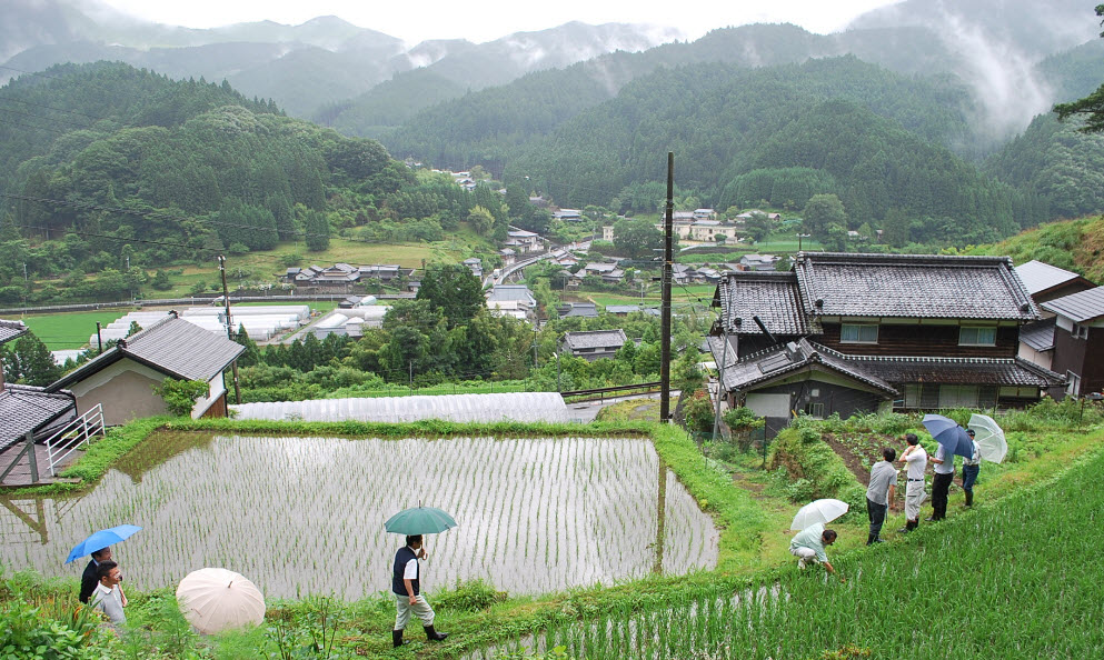 Soni, Nara